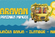 Дах медитерана и Празник мимозе стижу на Златибор