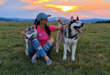 Златибор „Pet friendly“ дестинација