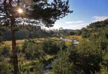 Водице