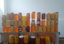 Прикупљен мед