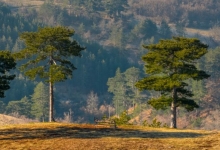Ускрс на Златибору у духу традиције и савременог одмора