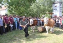 Вишебој (фото-архива)