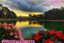 Светски дан велнеса – Global Wellness Day