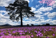 Светски дан велнеса – Global Wellness Day