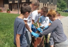 Акцију уређења зелених површина помогли ученици ОШ "Димитрије Туцовић"