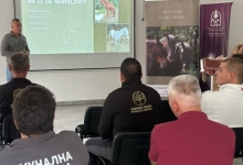 „Зоохигијена“ покренула едукације о заштити коња и правилној бризи о животињама