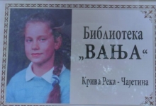 Библиотека „Вања“ у Кривој Реци
