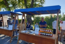 “Good food & wine festival” 