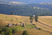 Чајетини опредељена новчана средства за пошумљавање и озелењавање