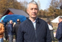 Милоје Рајовић
