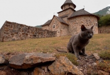 Скривени Златибор