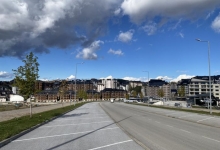 Више од 400 нових стабала у центру Златибора