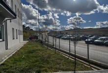 Више од 400 нових стабала у центру Златибора