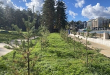 Више од 400 нових стабала у центру Златибора