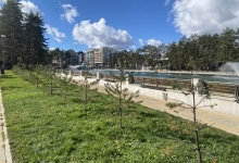 Више од 400 нових стабала у центру Златибора