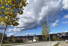 Више од 400 нових стабала у центру Златибора