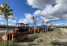 Више од 400 нових стабала у центру Златибора