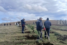 Нова акција пошумљавања на Златибору – засађено 1300 садница