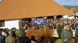 У сусрет јубиларној Пршутијади