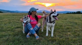 Златибор „Pet friendly“ дестинација