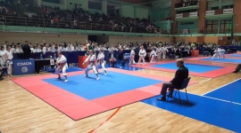 На Златибору одржан карате спектакл