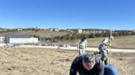 Зеленији Златибор за нове генерације – Заједно садимо будућност!