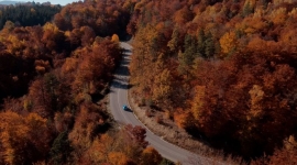 Златибор за младе