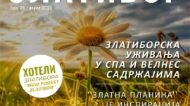 Електронске новине ТОЗ