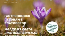 Електронске новине ТОЗ