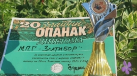 Мушка певачка група УЗЗНТ "Златибор" - мушка група певача