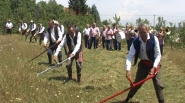 У суботу 5. Косидба у Кривој Реци