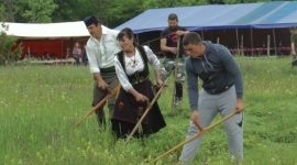 Друга криворечка косидба