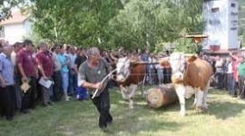 Вишебој (фото-архива)
