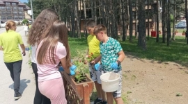 Акцију уређења зелених површина помогли ученици ОШ "Димитрије Туцовић"