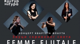 „Звуци скривеног света” у Стопића пећини