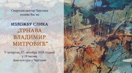 „Трнава Владимир Митровић“