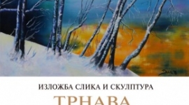 Изложба слика