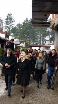 Stamatovic i Mihajloviceva Zlatibor