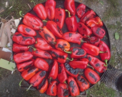 Paprika