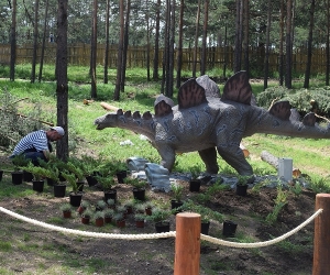 Dino park