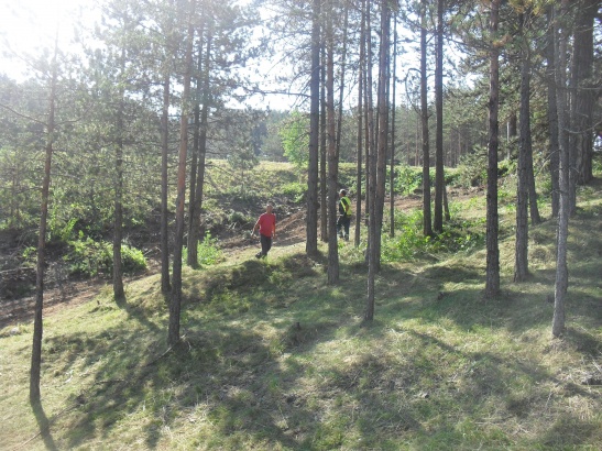 KJP "Zlatibor" aktivnosti