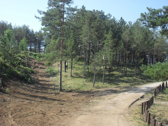 KJP "Zlatibor" aktivnosti