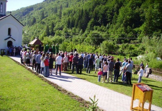 Ljubis