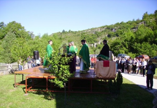 Ljubis