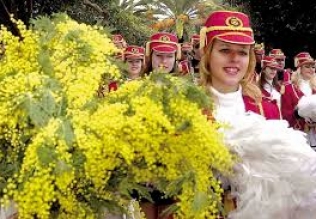 Mimoze