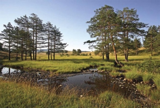 Zlatibor