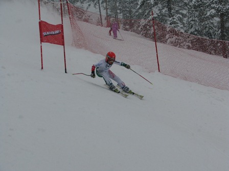 Skijas