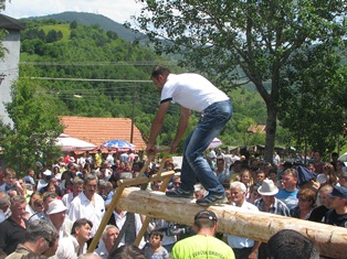 Viseboj