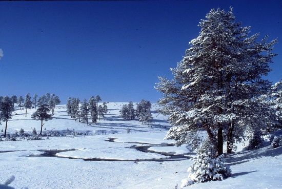 Vodice - Zlatibor