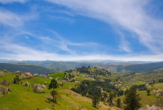 Zlatibor